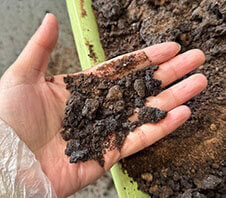 红糖粉碎机视频多少钱一台