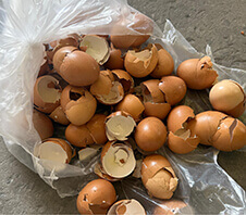 鸡蛋壳粉碎机多少钱一台