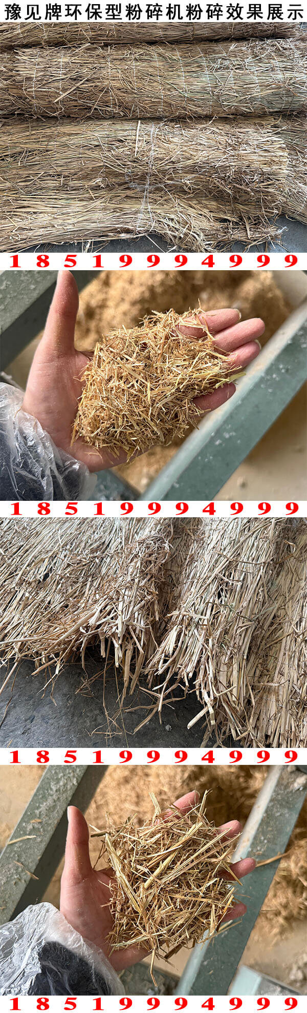 稻草粉碎机粉碎效果展示3