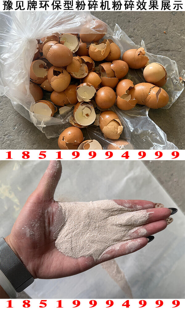 鸡蛋壳粉碎机粉碎效果展示