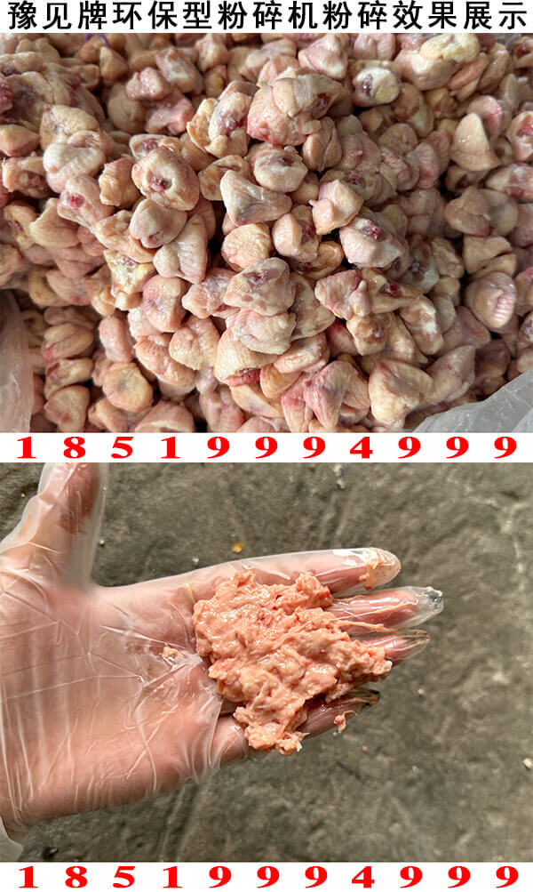 鸡屁股粉碎机粉碎效果展示