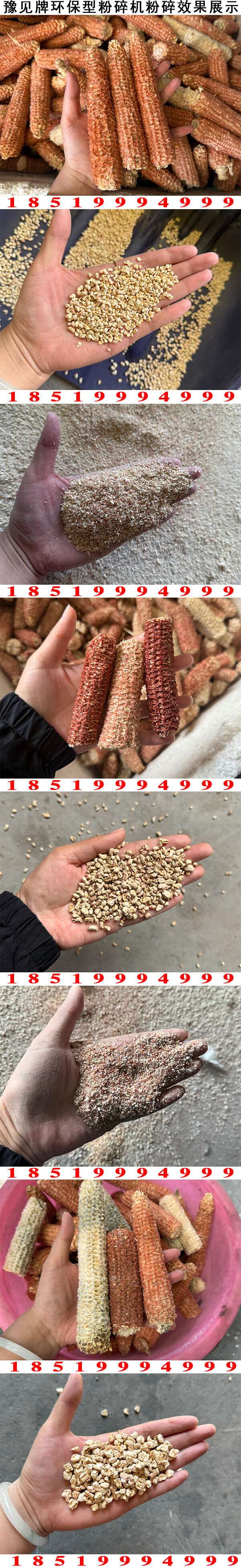 玉米芯垫料粉碎机粉碎效果展示2